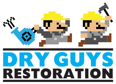 The Dry Guy Restoration, Inc.